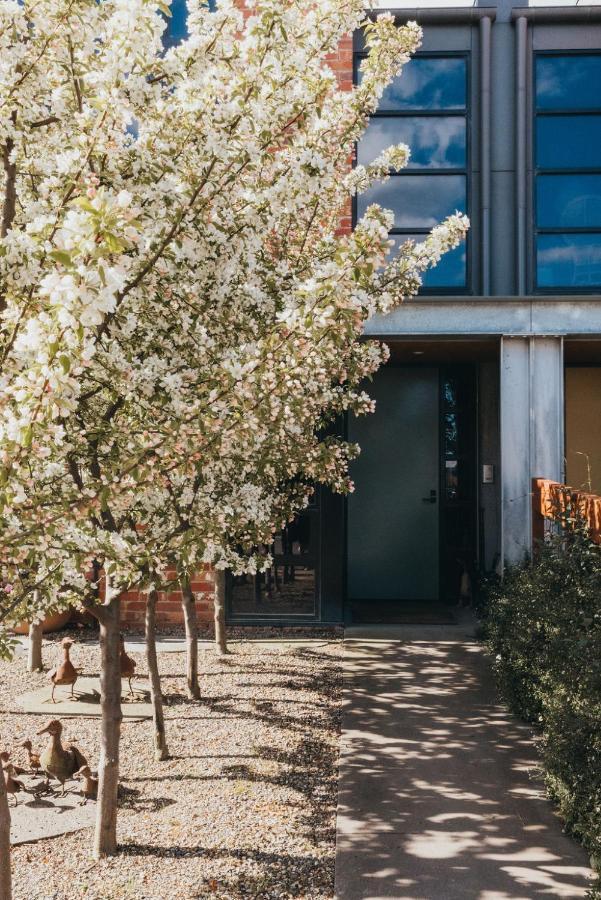 Mews Cottages Gisborne Extérieur photo