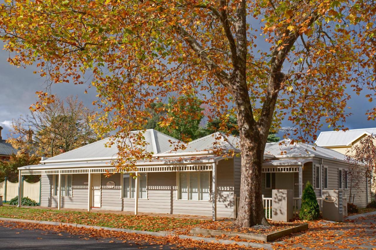 Mews Cottages Gisborne Extérieur photo